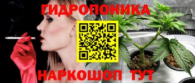 гидра Пыть-Ях