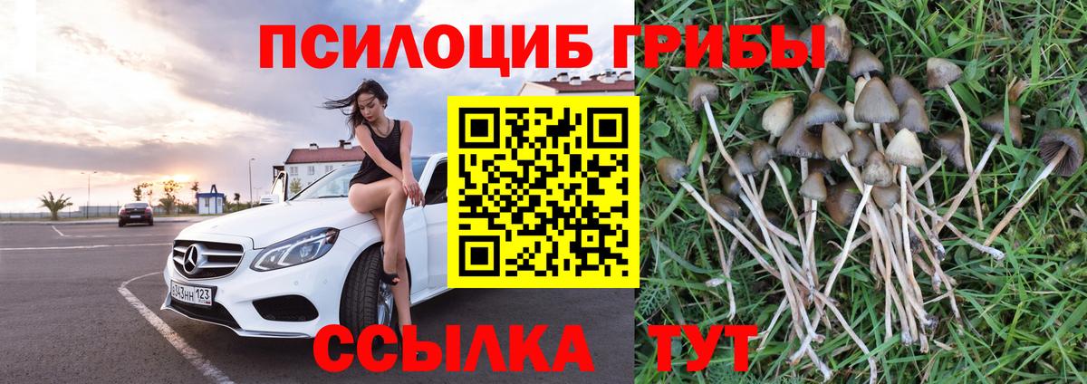 Галлюциногенные грибы мухоморы Сочи